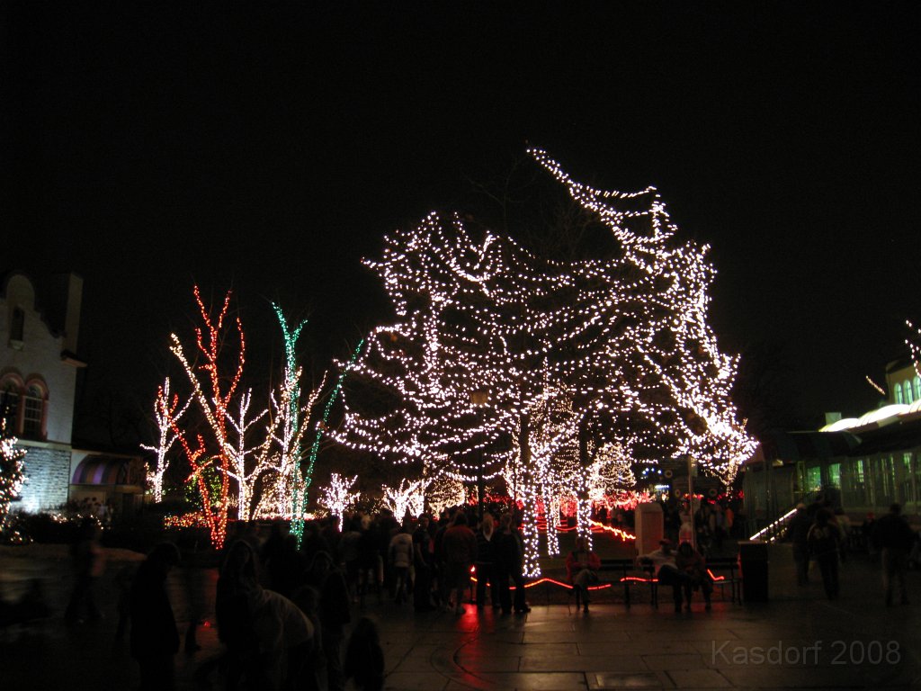 Toledo Zoo Lights 2008 099.jpg - The regular visit to the Toledo Ohio Zoo to see the Christmas Lights displays. New this trip were the "Dancing Lights", displays flashing in time with the Christmas Songs.